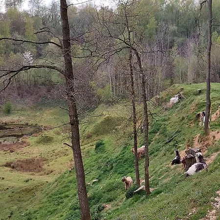 Hébergement de vacances Amber Simpelveld