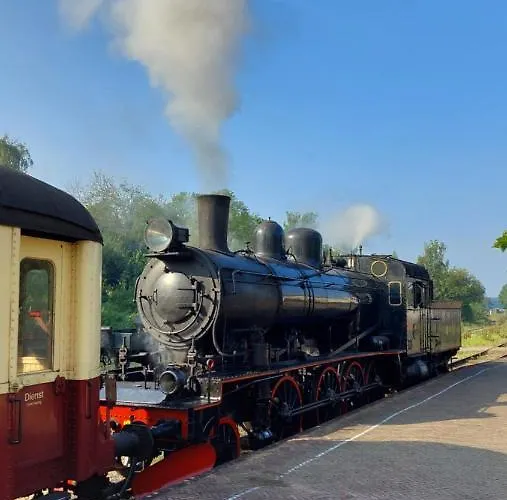 Amber Дом отдыха