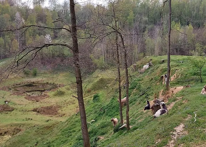 Дом отдыха Amber Симпелвелд